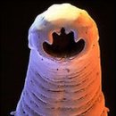 더함한의원 이미지