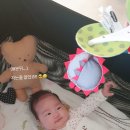 옹알옹알 엑스포츠뉴스
