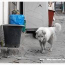 구룡목욕탕 이미지