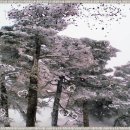 한라산 겨울 풍경 이미지