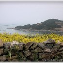 로하스웰빙 이미지