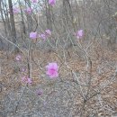 백운산그집