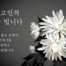 (근조) 이현철 모친상 (발인 1/20) 이미지