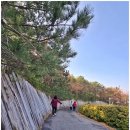 테마임도공원2 | 정동진 썬크루즈리조트 테마공원 조각공원