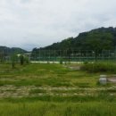 양보생활체육공원 이미지