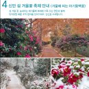 1.21,(일)~22,(월)/꿈의 휴양지 엘도라도리조트 숙박 & 무안, 증도여행 신청하세요 이미지