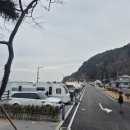 강릉 강릉 바다내음 캠핑장 강원도민일보