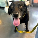 이형윤동물병원 이미지