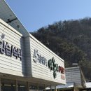 내돈내산 오크밸리 야옹이 렌탈샵 가격 스키복 + 장비 렌탈 인증후기 꿀팁