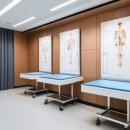 백년튼튼정형외과재활의학과의원 | 정형외과에서 알아야 할 주요 건강 정보와 관리 원칙