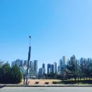 스팀맨대화 | 일산 대화동 꼼꼼한 손세차 추천 스팀세차 킨텍스 스팀맨