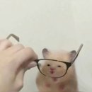 영신 약국 네이버블로그