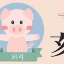 압력사