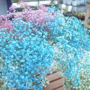 마음편한 집 이미지