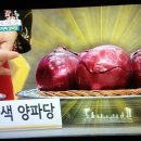 자색양파 효능및 먹는법 이미지