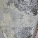 청학로132번길5 | [구축탄성코트] 역대급 시공후기, 남양주 수락산 거아파트 통베란다 탄성코트, 가격, 깔끔해진 베란다...