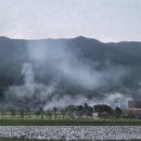 정금마을 차밭 앞 이미지