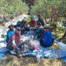 춘양농장 이미지