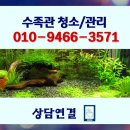명동수족관