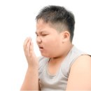 진영자동차 이미지