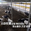 우일축산 이미지