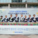 사랑새봄