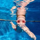 자라섬야외수영장 이미지