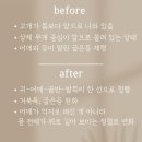 바디다움필라테스
