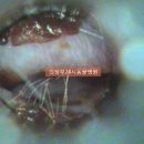 의정부 24시 IU 동물병원 이미지