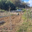 계동마을 이미지