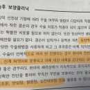 양심탕 이미지