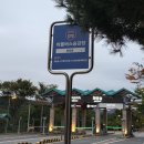 숲 | 뚜벅이 우중 화담숲 후기(10.12 단풍 현황)