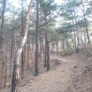 토지주유소 이미지