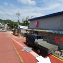 토리애견샵 이미지