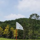 루트52CC 이미지