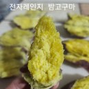 황금농원 속이 노란 꿀 밤고구마 배송 후기