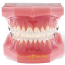 365플러스치과의원 이미지