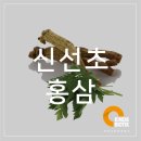 (주)카인즈바이오틱스 이미지
