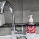 Gn메디 바디닥터 | 향수 바디워시 추천 더메디닥터의 PDRN 장미바디워시 후기