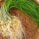 달래네 하우스 이미지