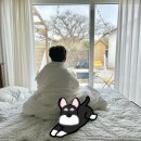 판포 현스테이 이미지