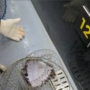 도깨비 낚시터 이미지