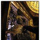 콤포스텔라 이미지