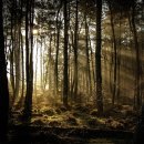 장수건강 이미지