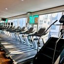 드림스포츠 이미지