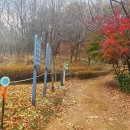 우면산 (대성사 옆) 이미지