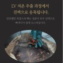 행동경로당 | 두분의 엄마에게 드리는 선물