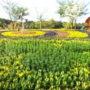 대공원광장대로 이미지