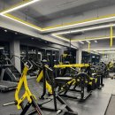 비다피트니스 이미지