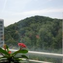 OK신성부동산공인중개사사무소 네이버블로그
